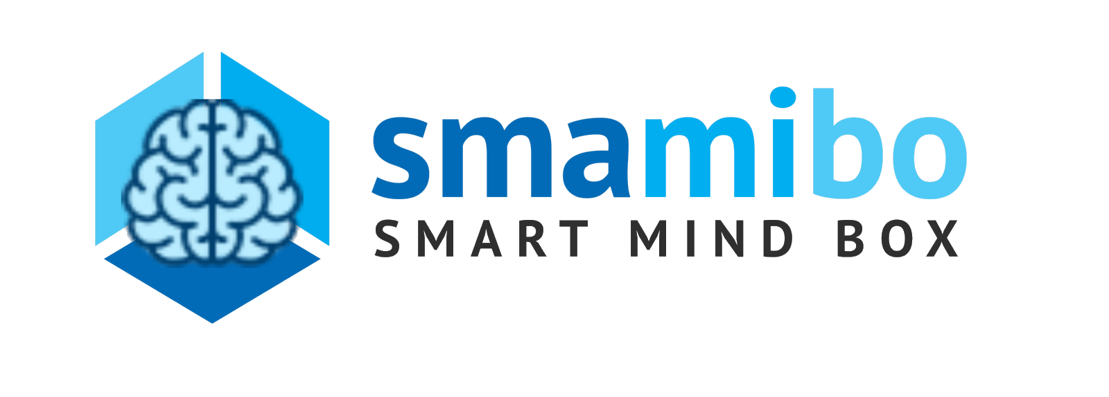 Разработка программного обеспечения, искусственный интеллект, нейронные сети, компьютерное зрение, распознавание объектов, распознавание текстов, машинное обучение 